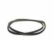 Türgummi links vorne Subaru Outback IV (BR)