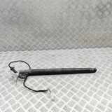 Heckklappe Gasdruckfeder rechts BMW X6 (E71, E72) xDrive 40 d 7286118