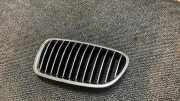 Gitter BMW 5 (F10) 520 d 51137200727