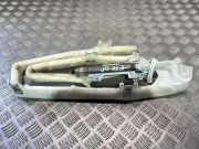 Dach SRS rechts BMW X5 (E70) xDrive 30 d 85714150807
