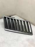 Vorderer oberer Gitter RENAULT VEL SATIS (BJ0_) 2.2 dCi (BJ0E, BJ0F)