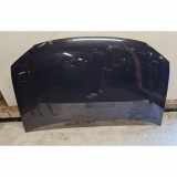 Motorhaube VW TOURAN (1T3) 1.2 TSI