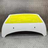 Motorhaube FORD TRANSIT CUSTOM 2.0 EcoBlue JK21-A16612-AA