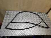 Zierleiste Windschutzscheibe Frontscheibe HYUNDAI ix35 (LM, EL, ELH) 2.0 CRDi 4WD