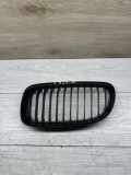 Vorderer oberer Gitter BMW 3 (E90) 320 i 7254970