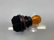 Glühlampe Xenon Mercedes-Benz M-Klasse (W164)