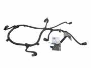 Kabelbaum Opel Insignia A Stufenheck (G09) 13238612