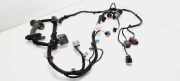 Kabel der vorderen linken Tür JAGUAR XF SPORTBRAKE (X250) 5.0 XFR-S DX2314B121DA
