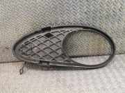 Gitter Grill vorne links MERCEDES-BENZ C (W203) C 200 Kompressor (203.042) 2038850523
