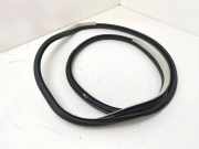 Türgummi rechts vorne Renault Espace V (JR)