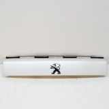 Kennzeichenbeleuchtung Verkleidung PEUGEOT 2008 II 1.2 PureTech 100 9828080080 9828080180