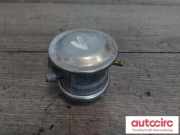 Auspuffanlage hinten Audi A5 (8T) 07L131101M