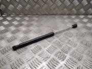 Heckklappe Gasdruckfeder links RENAULT LAGUNA III (BT0/1) 2.0 dCi (BT01, BT09, BT12, BT1S) 904600001r