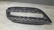 Kühlergrill unten Mercedes-Benz B-Klasse Sports Tourer (W246, W242) A2468850622