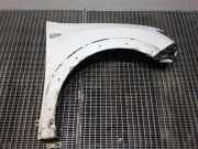 Kotflügel rechts vorne Dacia Sandero I (BS)