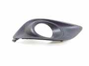 Nebelscheinwerferverkleidung TOYOTA AVENSIS (_T25_) 2.0 D-4D (ADT250_) 4313PA010