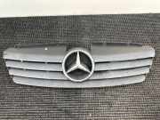 Vorderer oberer Gitter MERCEDES-BENZ VANEO (414) 1.9 (414.700) A4148800085