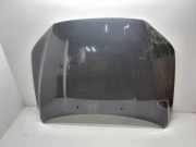 Motorhaube VOLVO V70 III (BW) 1.6 DRIVe / D2