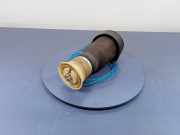 Stoßdämpfer links hinten BMW X6 (E71, E72) R309512606