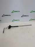 Antenne Dach Nissan Note (E11)