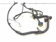 Kabel Tür Nissan Pathfinder III (R51) 24127EB301