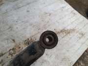 Stoßdämpfer hinten rechts AUDI A6 (4F2, C6) 2.7 TDI quattro