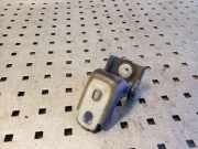 Türscharnier hinten rechts RENAULT GRAND SCÉNIC III (JZ0/1_) 1.5 dCi 804200003RH