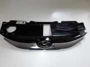 Vorderer oberer Gitter HYUNDAI ix35 (LM, EL, ELH) 1.7 CRDi 863512Y000