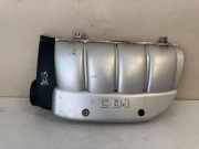 Motorabdeckung MERCEDES-BENZ E (W210) E 220 CDI (210.006) A6110101167