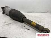 Gasdruckfeder Tesla Model S (5YJS) 600635200C