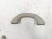 Dachgriff vorne links