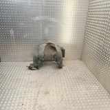 Innenkotflügel vorne rechts MERCEDES-BENZ M (W164) ML 280 CDI 4-matic (164.120) A1648802805