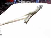 Dach SRS rechts VW GOLF V Variant (1K5) 1.4 TSI 1K0880742C