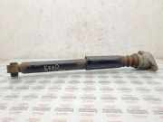 Stoßdämpfer hinten links