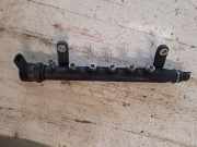 Einspritzleiste Land Rover Freelander 2 (L359)