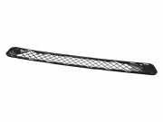 Gitter vorne unten TOYOTA RAV 4 III (_A3_) 2.2 D 4WD (ALA30_) 5311342030