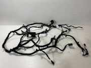 Kabelbaum Innenverkleidung BMW X6(G06) (G06, F96) xDrive 40 i 5A5B0C9 5A07196