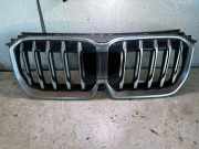 Vorderer oberer Gitter BMW X1 (U11) BMW X1 (U11) sDrive 18 d 98803011