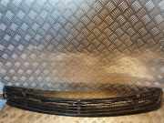 Vorderer oberer Gitter MERCEDES-BENZ S (W220) S 400 CDI (220.028, 220.128) A2208800205 2208800205