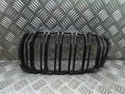 Gitter Grill vorne links BMW 5 Touring (F11) 530 d xDrive