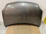 Motorhaube VW GOLF PLUS (5M1, 521) 1.6 TDI