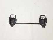 Zierleiste Toyota C-HR (X1) 73705F4010