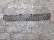 Vorderer oberer Gitter FORD TRANSIT Furgon 2.0 TDCi