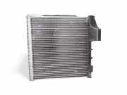 Klimaverdampfer VW Passat B7 (362)