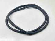 Türdichtung VW Passat B7 Alltrack (36, B7) 3G9867913K