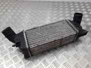 Ladeluftkühler PEUGEOT 407 (6D_) 2.0 HDi 135 874823NK 9645682880