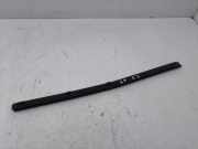 Türgummi links vorne Tesla Model S (5YJS)