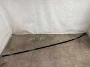 Dachleiste links BMW X7 (G07) xDrive 40 i 7416903