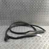 Türdichtungsgummi vorne links AUDI A5 (F53) 35 TFSI Mild Hybrid 8W6831707