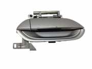 Türgriff links Honda Insight (ZE) TM8FRR